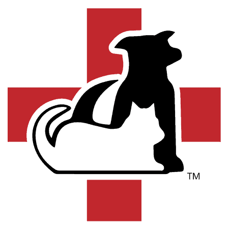 Diagnosis, Treatment, Recovery