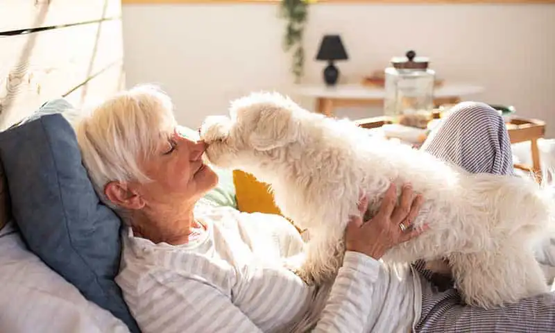 A dog licking their human