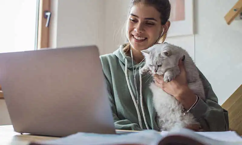Showing the cat to the computer