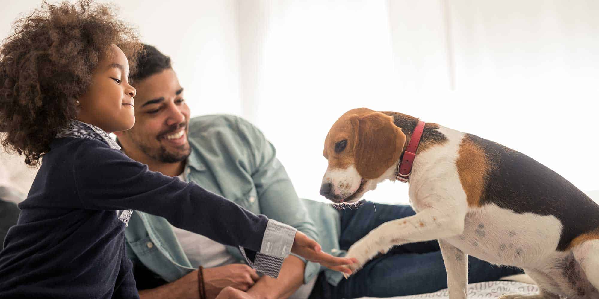 A dog playing with their humans
